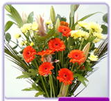 Lily & Orange Gergra Vase 