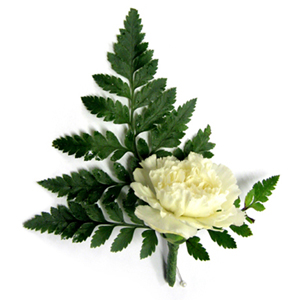 Buttonhole Carnation