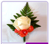 Buttonhole Rose