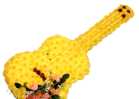 Guitar
