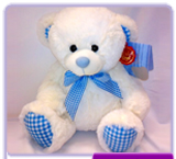 Blue & White Bear