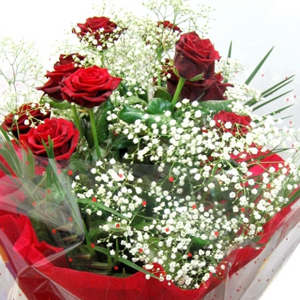 12 Red Roses